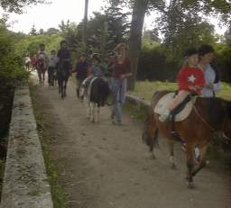 DSC02770.JPG