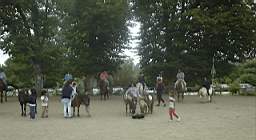 DSC02775.JPG