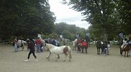 DSC02776.JPG